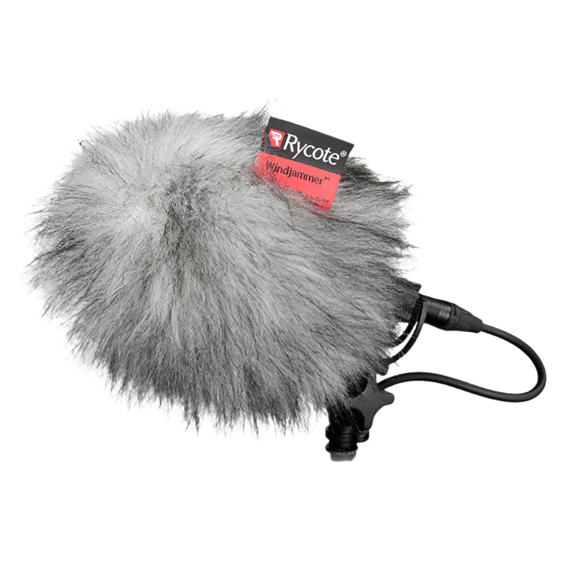 RYCOTE PFR-BBG 20