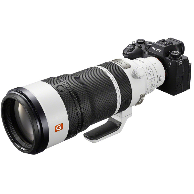SONY SEL 100-400mm F4.5
