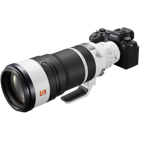 SONY SEL 100-400mm F4.5