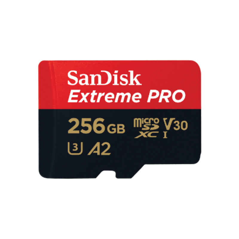 SANDISK MICRO SD 256 GB // PAS LOUABLE SEUL